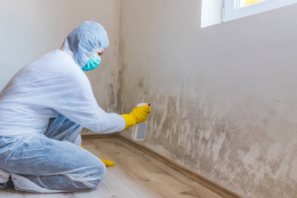 Professional Mold Remediation in Waukomis, OK
