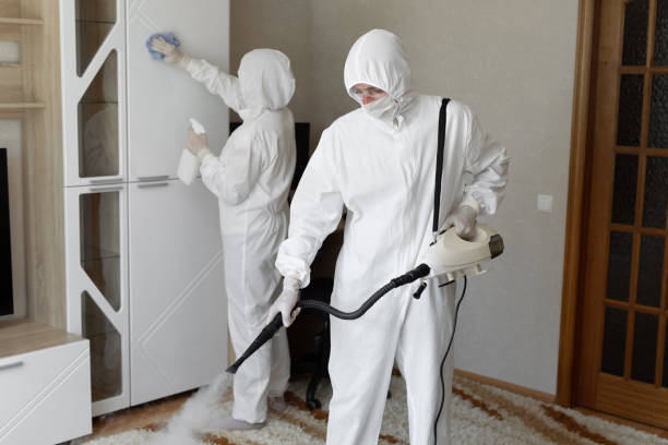 Professional Mold Remediation in Waukomis, OK