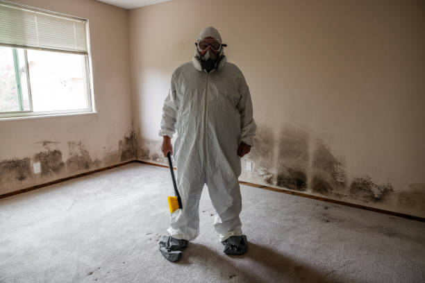 Best Localized Mold Remediation (e.g., coastal areas, humid climates) in Waukomis, OK